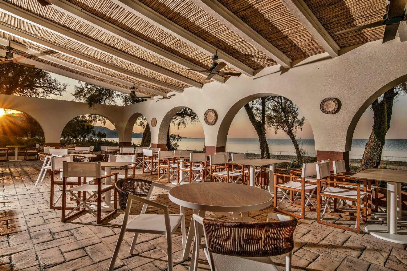Domes Aulus Zante, Autograph Collection