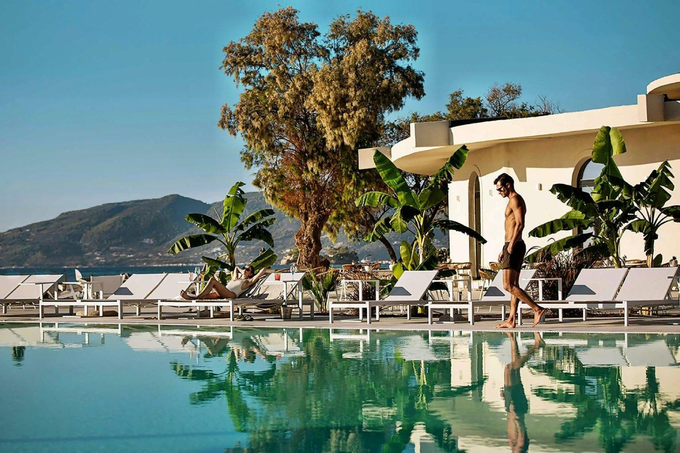 Domes Aulus Zante, Autograph Collection