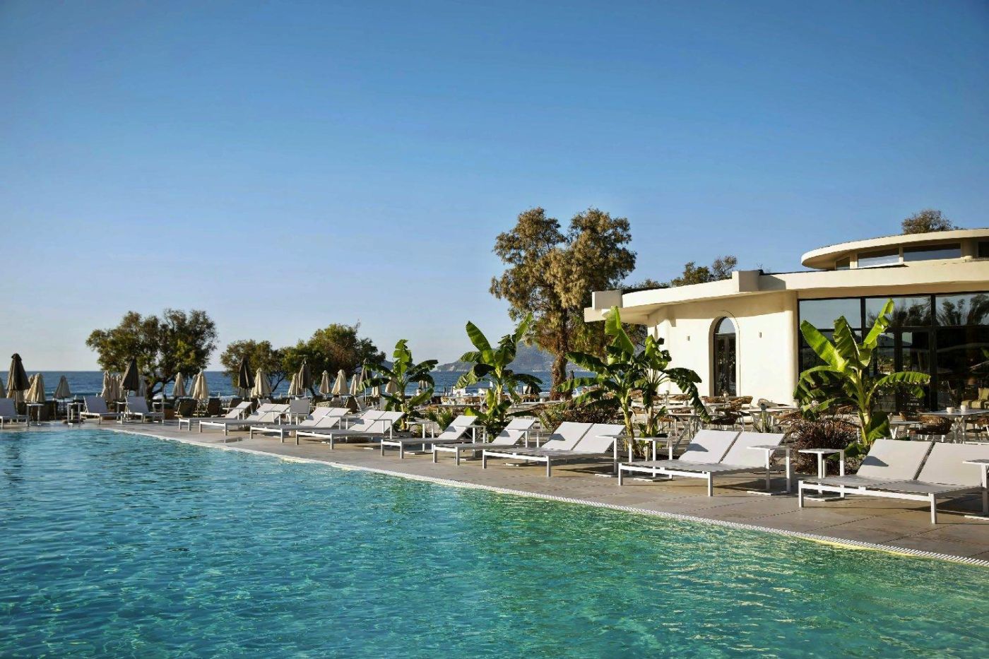 Domes Aulus Zante, Autograph Collection