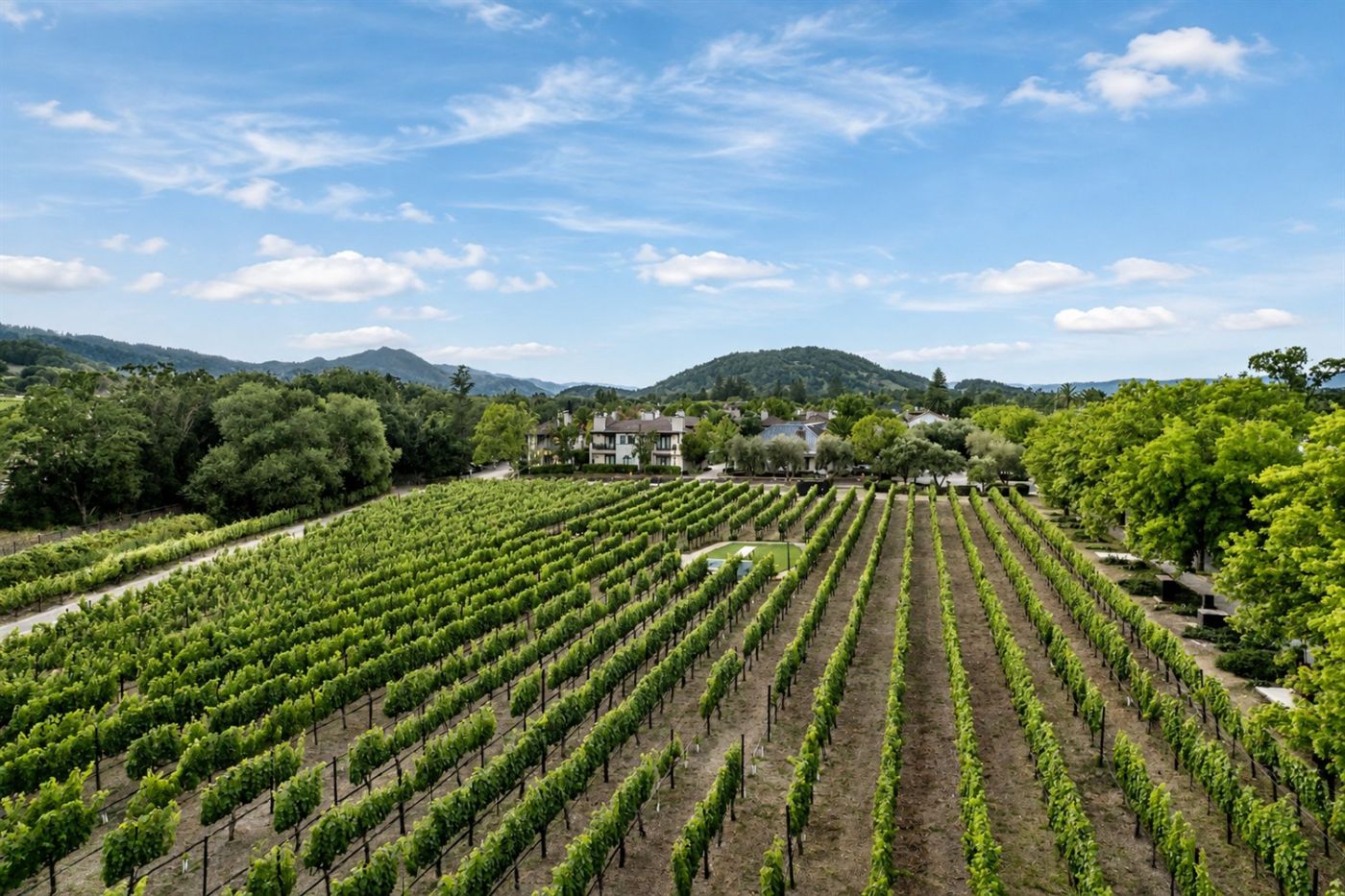 The Estate Yountville