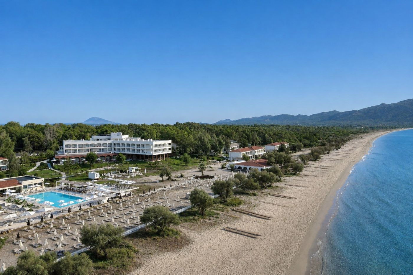 Domes Aulus Zante, Autograph Collection