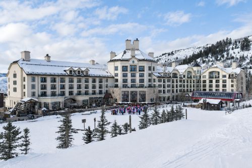 500 USD Suite Credit
