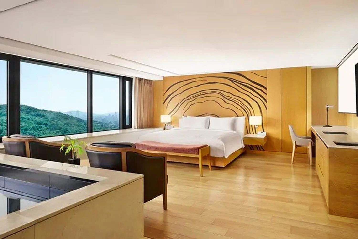 Deluxe Pool Room