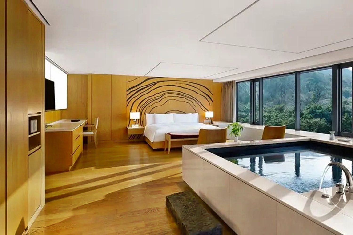 Deluxe Pool Namsan View Room