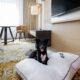 Pet-Friendly Luxury Hotels That you have to try!