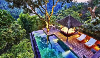 COMO Shambhala Estate jungle pool representing Ubud wellness luxury in Bali