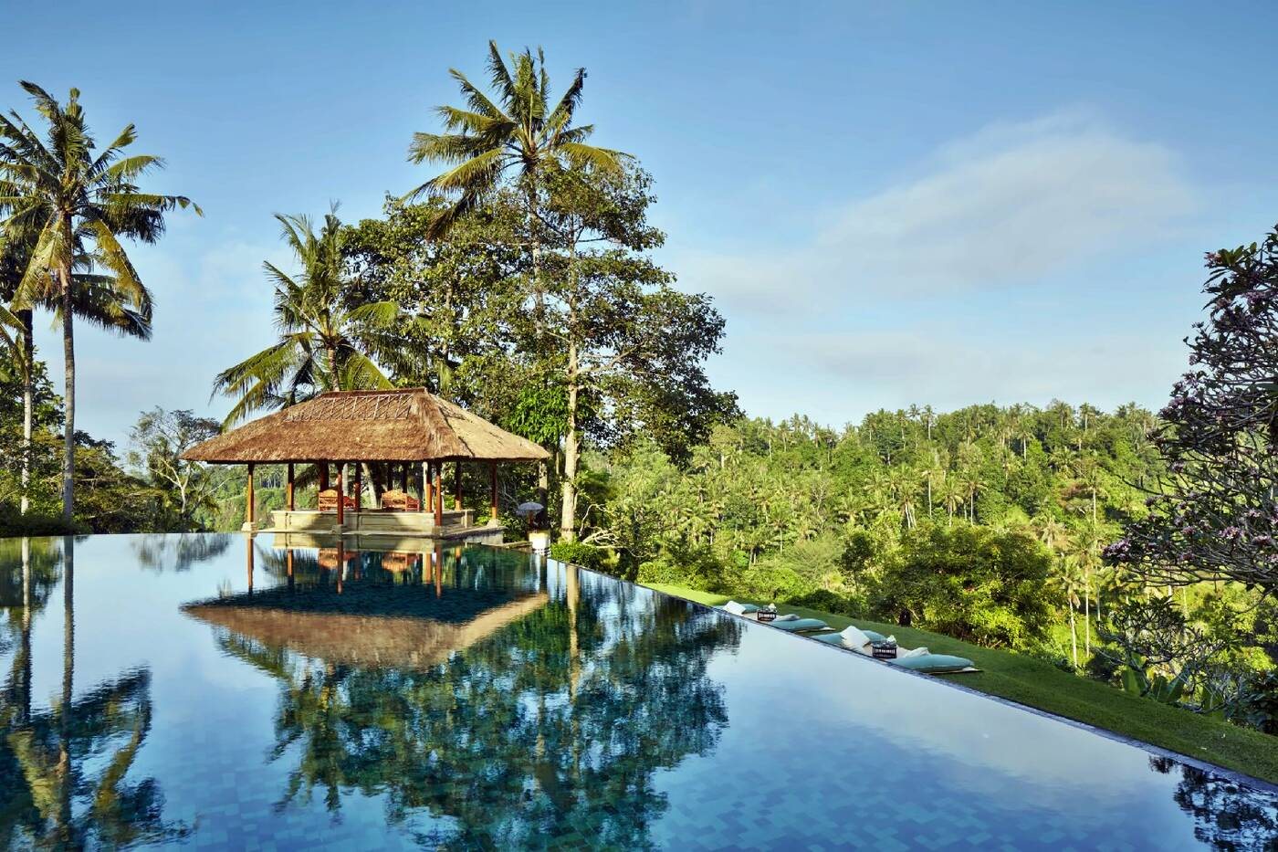 Amandari infinity pool overlooking Ubud rice terraces