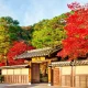 Traditional Japanese ryokan entrance surrounded by autumn maple trees