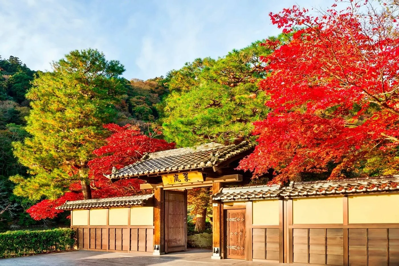 Traditional Japanese ryokan entrance surrounded by autumn maple trees