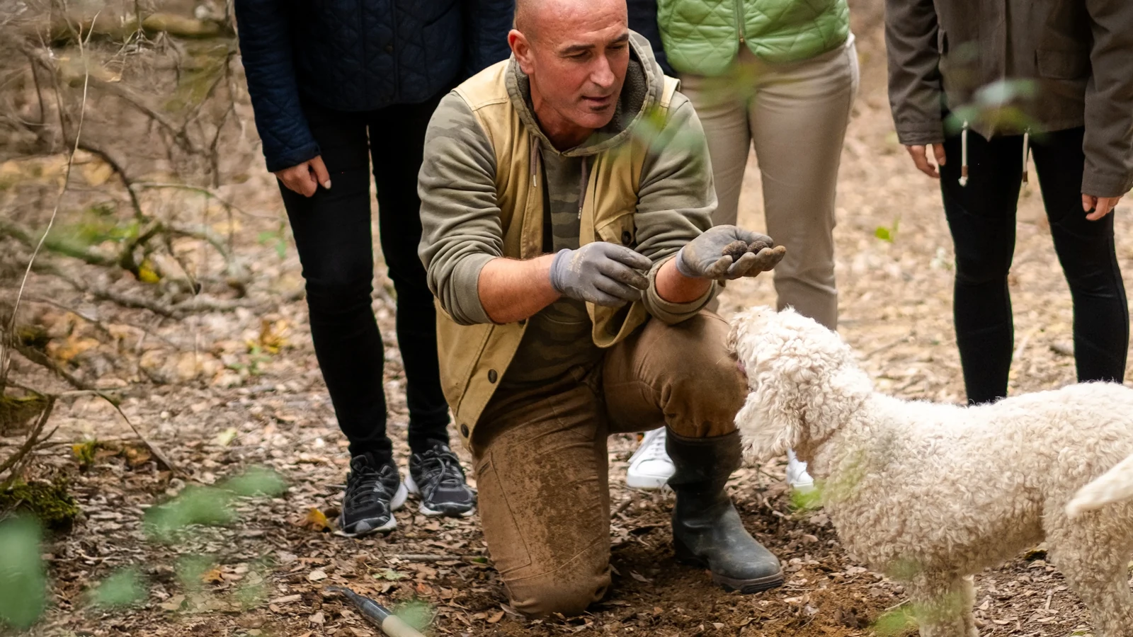Truffle hunter showing a find beside his dog in the woods at Castelfalfi