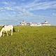 Guide: Luxury Resorts for Horseback Riding: Four Distinctive Stays