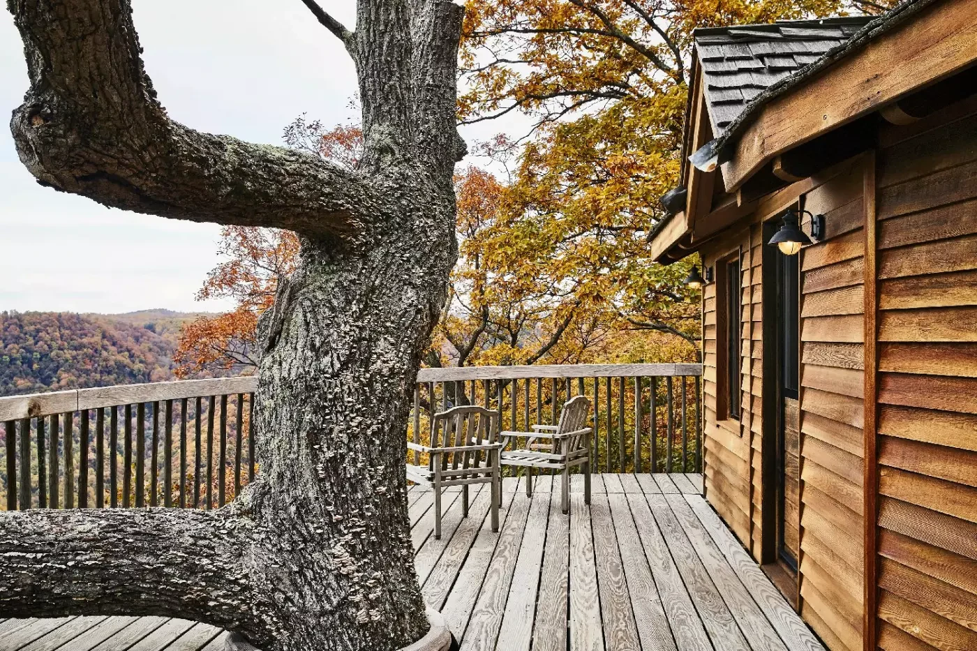 Timber deck of a tree house at Primland overlooking autumn woodland