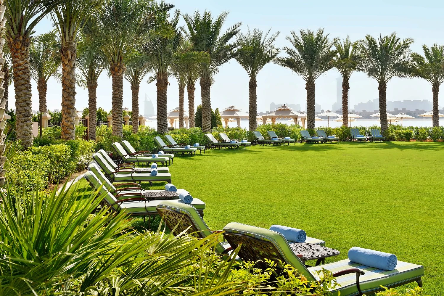 Sun loungers arranged in a palm-lined hotel garden