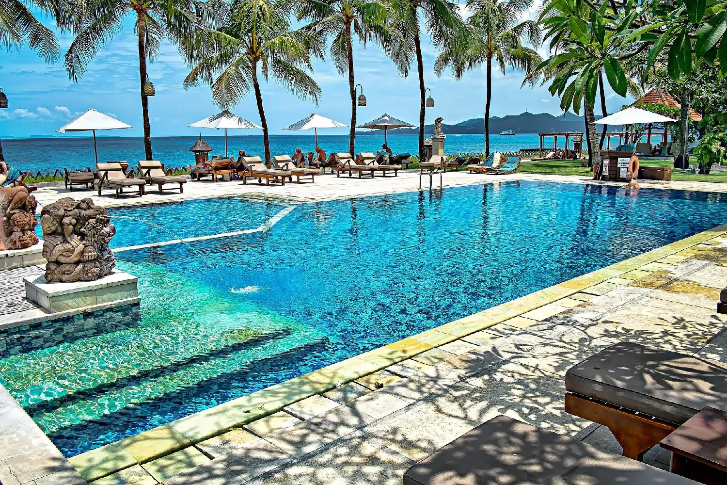 Beachfront resort pool surrounded by palms and loungers