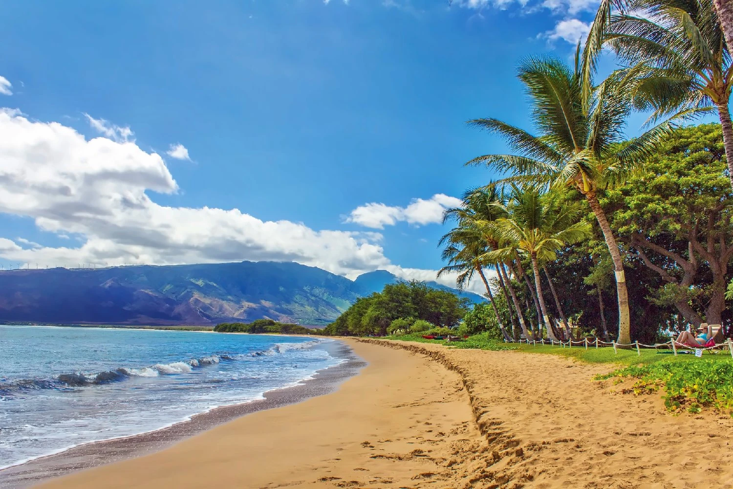 Sandy Maui beach bordered by palms