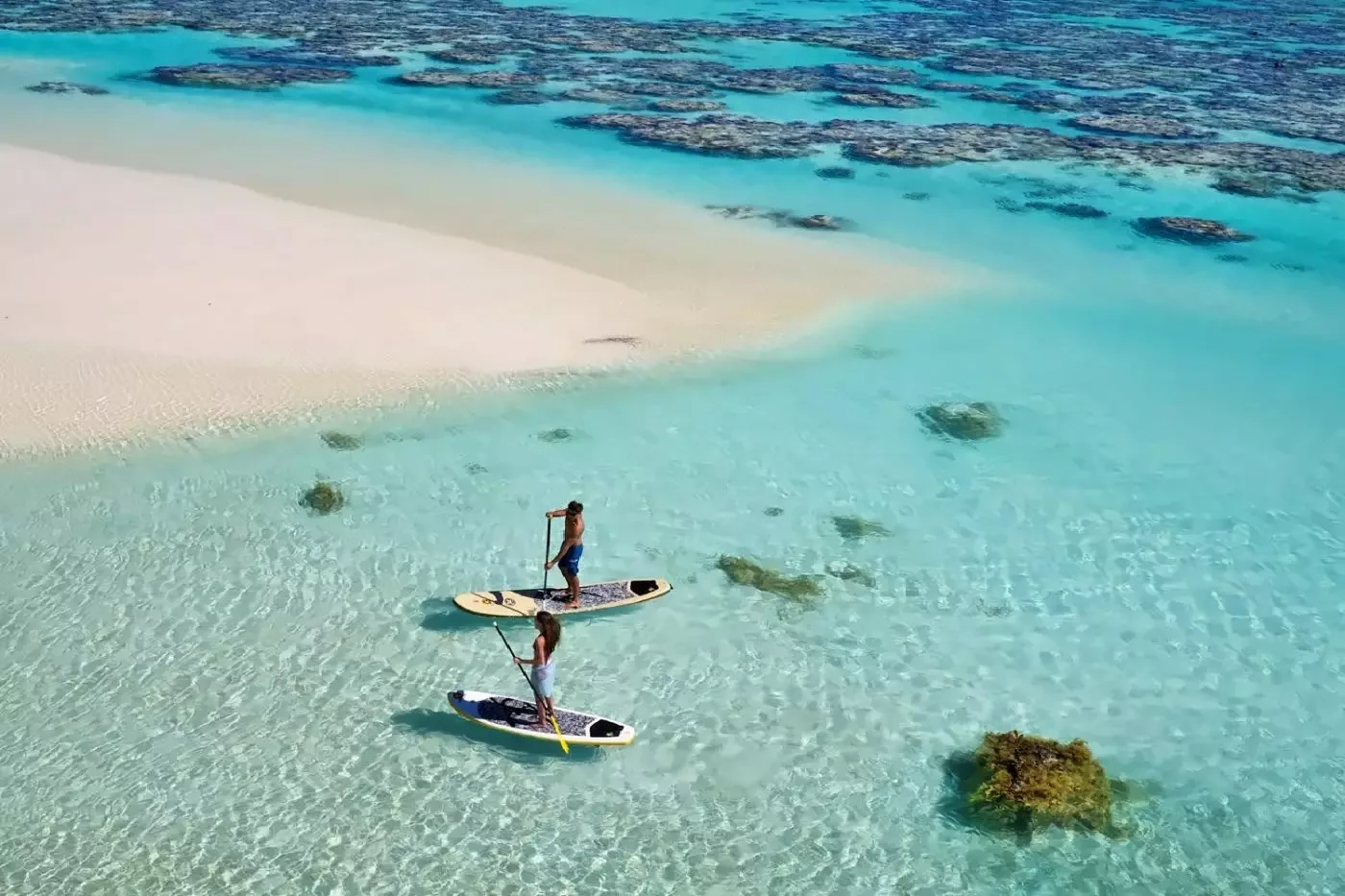Paddleboards on the clear lagoon at The Brando in Tetiaroa